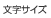 �����T�C�Y