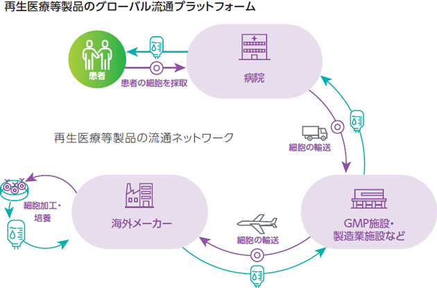 再生医療等製品のグローバル流通プラットフォーム